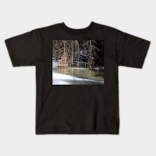 Seasonal melt in the woods Kids T-Shirt